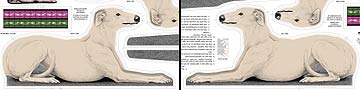 blue fawn
                              brindle pillow kit1