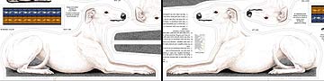white greyhound pillow kit